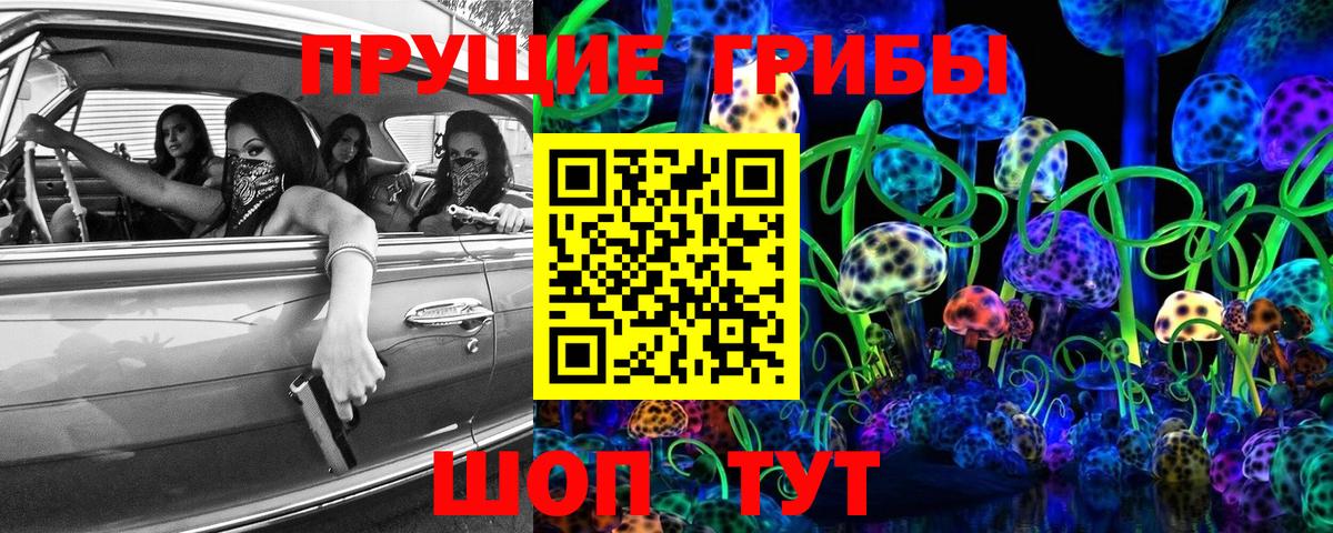 Кингисепп  Галлюциногенные грибы Cubensis  закладки  Вход с VPN 